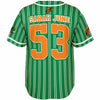 Rattlers custom baseball jersey EDU2553