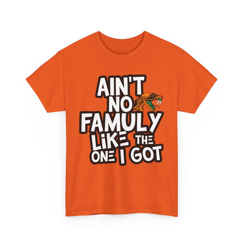 Ain't No Famuly like the one i got Unisex T-Shirt