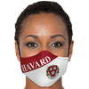 Harvard Face Mask