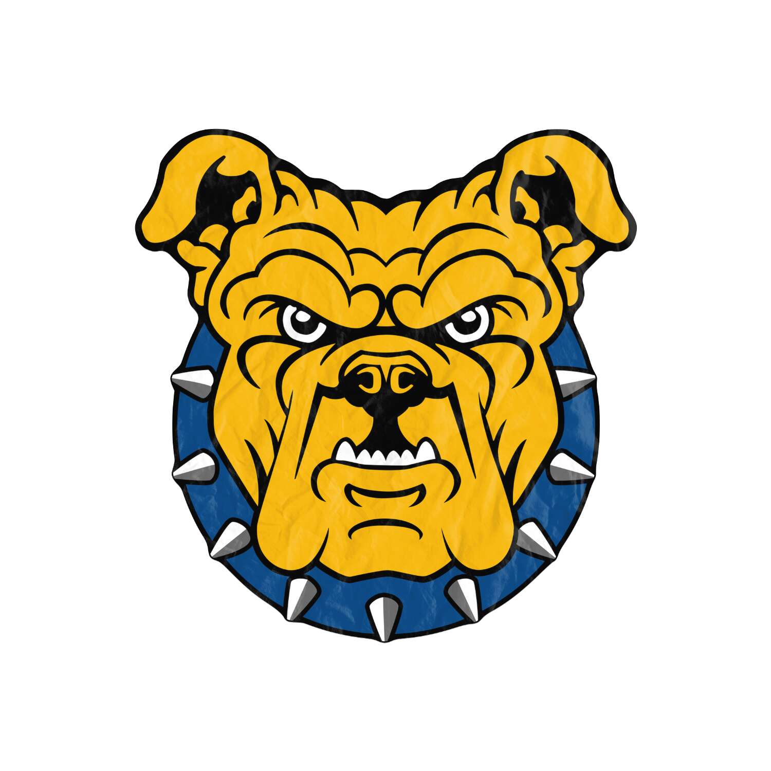 NC A&T Aggies Beach Towel v4545