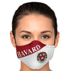 Harvard Face Mask