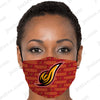 UDC Firebirds Fashion Mask 3D v13