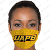 Uapb Fashion Mask 3D v926