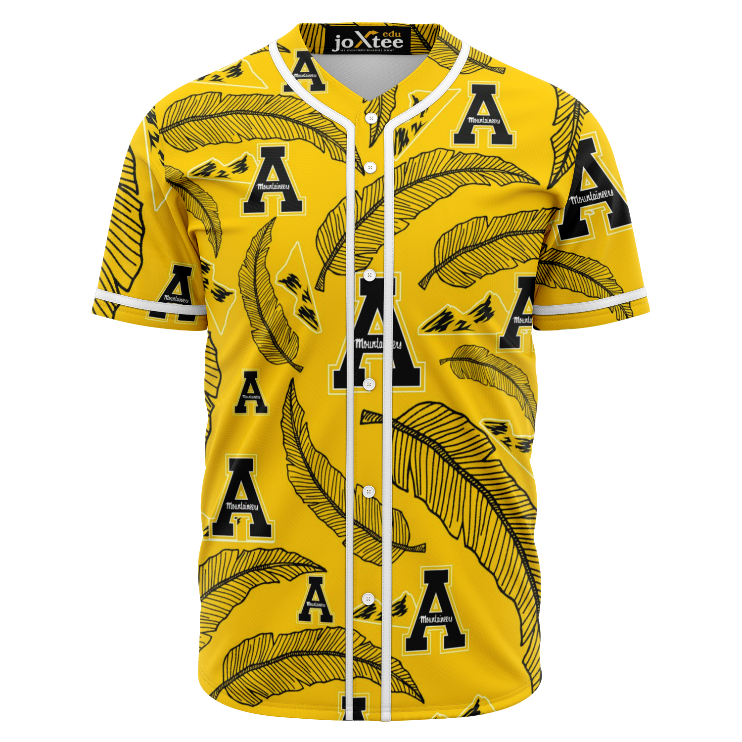 Alpha Phi Alpha Baseball Jersey